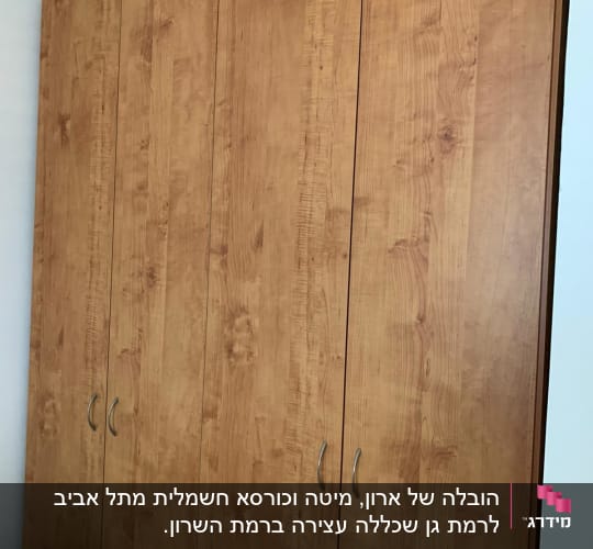ארון עץ עם דלתות וידיות מתכת